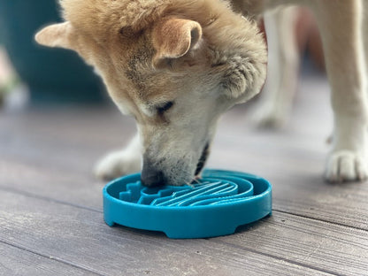 Baja Design eTray - Shallow Slow Feeder Dog Bowl for Enrichment | USA Made - Doot's Pet LLC Collars For A Cause