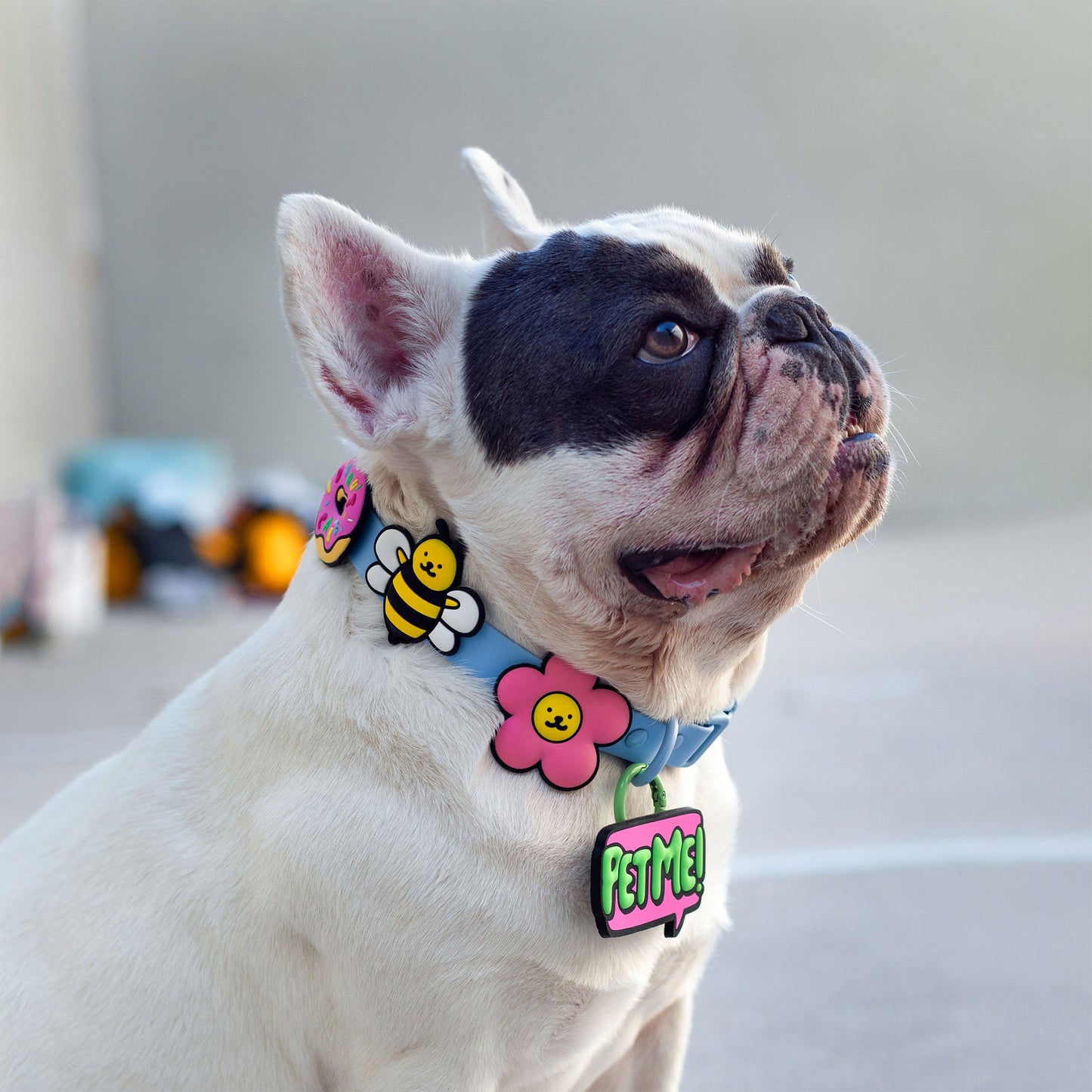 Pet Me Jiby Dog Charm