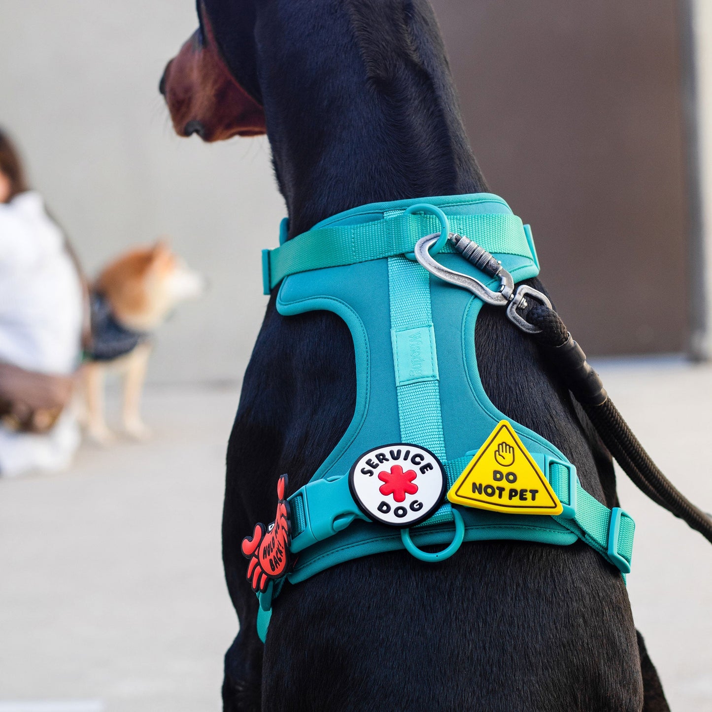 Do Not Pet Jiby Dog Charm