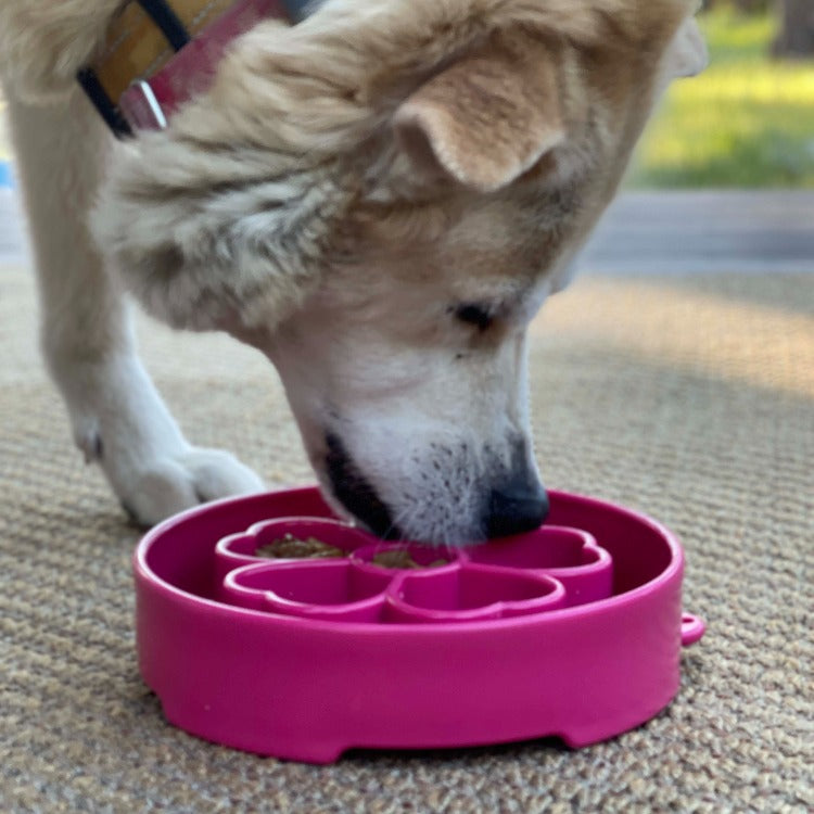 Flower eBowl Deep Slow Feeder Dog Bowl for Enrichment | USA Made - Doot's Pet LLC Collars For A Cause