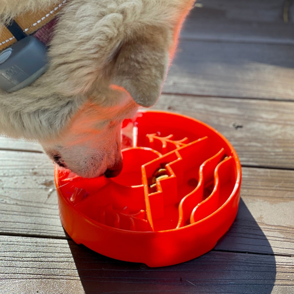 Great Outdoors eBowl - Slow Feeder Dog Bowl & Enrichment | USA Made - Doot's Pet LLC Collars For A Cause