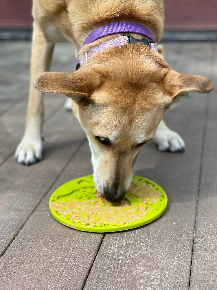 Tree of Life eMat - Enrichment Lick Mat For Dogs and Cats - With Suction Cups | Tree Design | USA Made - Doot's Pet LLC Collars For A Cause