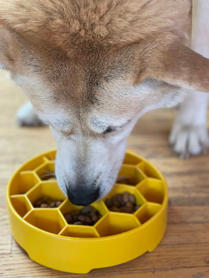Honeycomb eBowl Deep Slow Feeder Dog Bowl for Enrichment | USA Made - Doot's Pet LLC Collars For A Cause