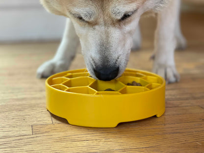 Honeycomb eBowl Deep Slow Feeder Dog Bowl for Enrichment | USA Made - Doot's Pet LLC Collars For A Cause