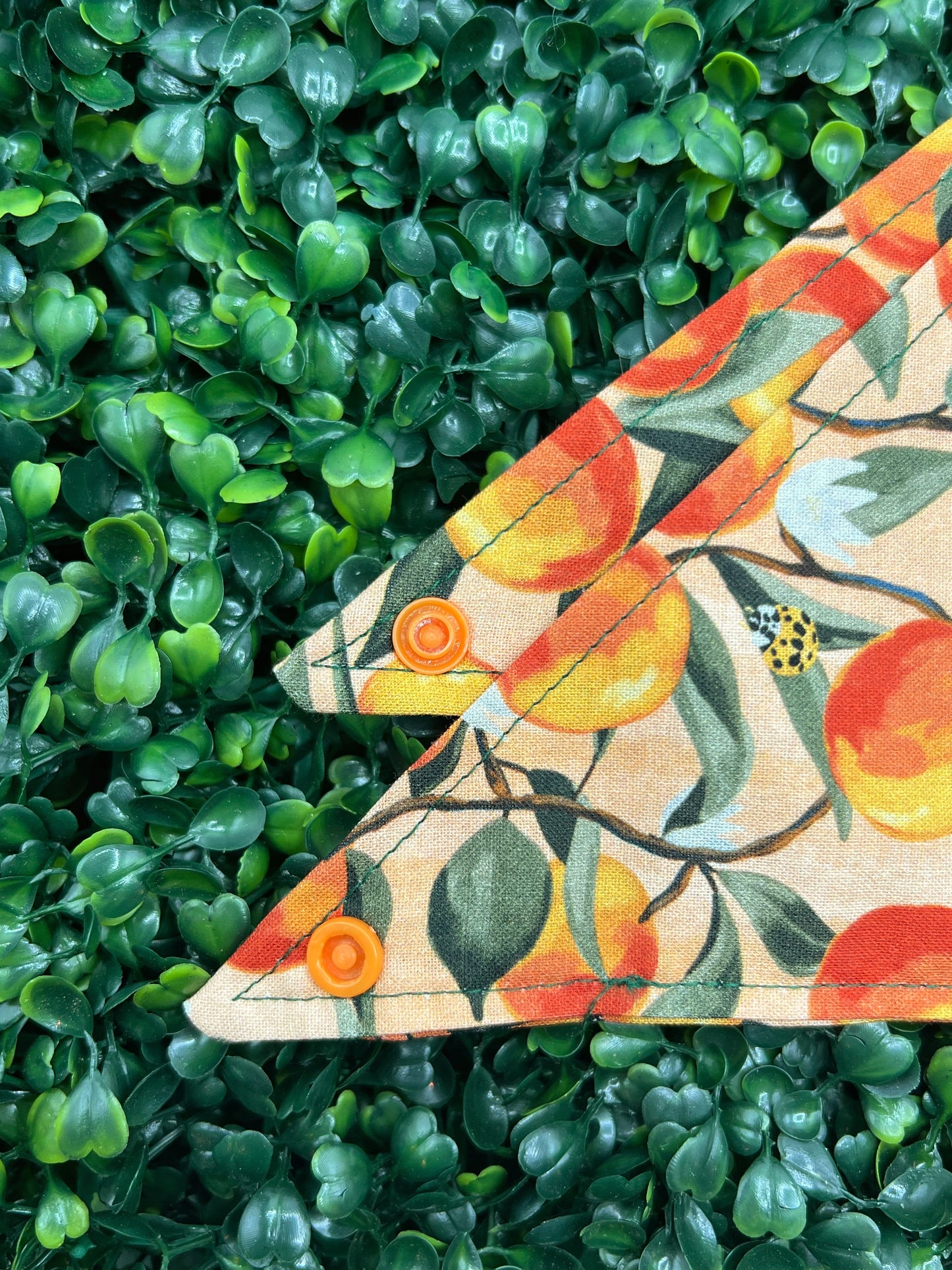 Peaches Bandana