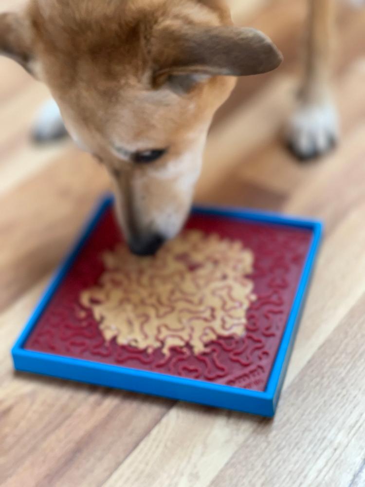 Hold 'em Suction Cup Holder for Dog Bowls & Lick Mats | USA Made - Doot's Pet LLC Collars For A Cause