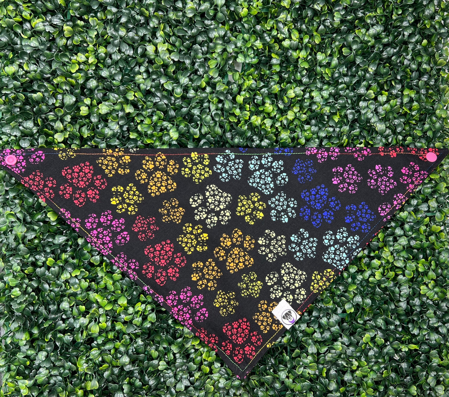 Pawprint Rainbow Bandana