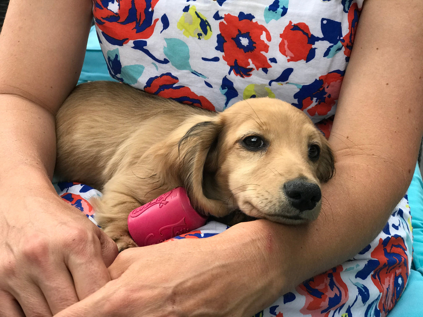 Puppy Can Toy Durable Rubber Chew Toy & Treat Dispenser For Teething Pups - Doot's Pet LLC Collars For A Cause