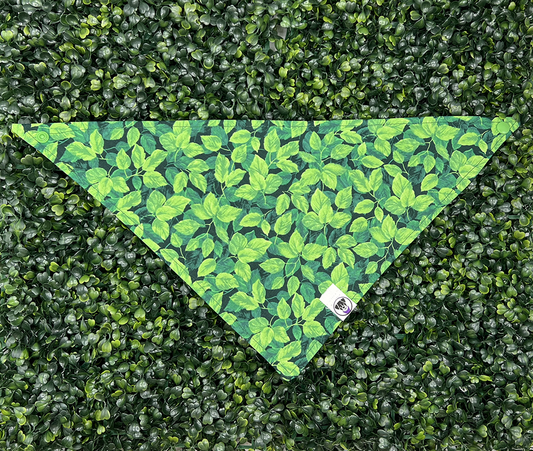 Spring Dog and Cat Bandana Ivy Leaves