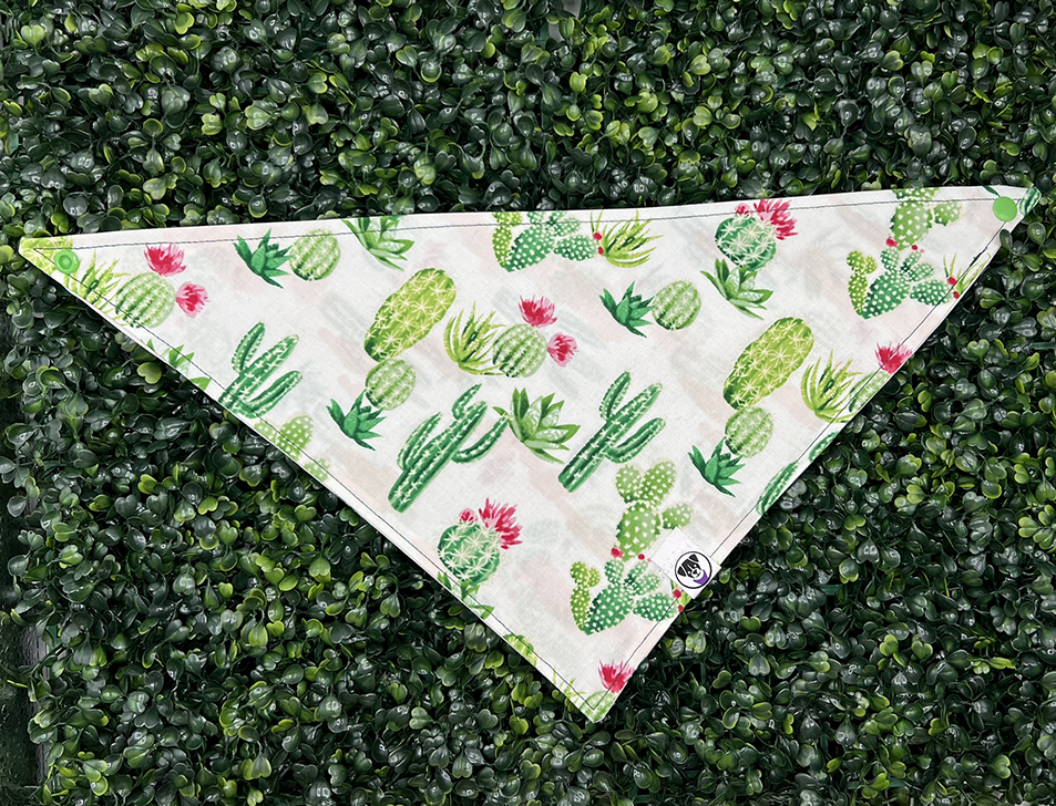 Desert Cactus Flower Bandana