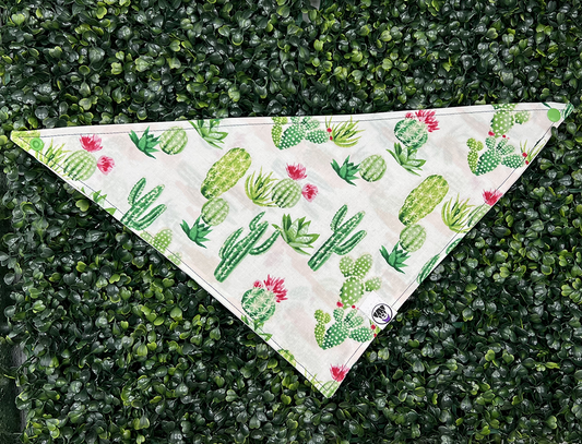 Desert Cactus Flower Bandana