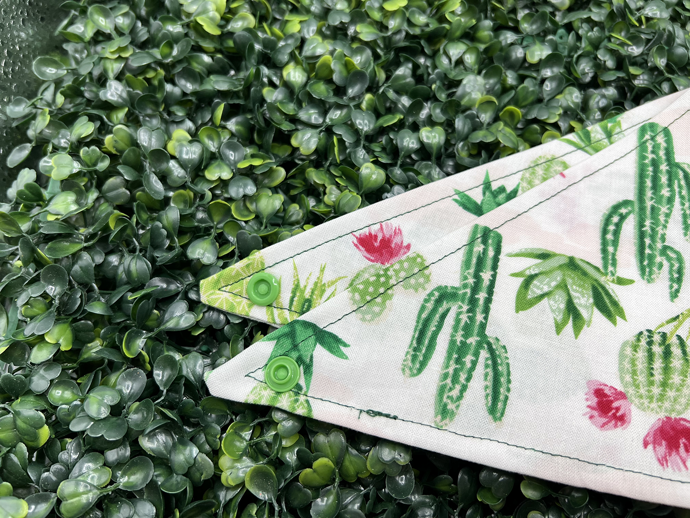 Desert Cactus Flower Bandana