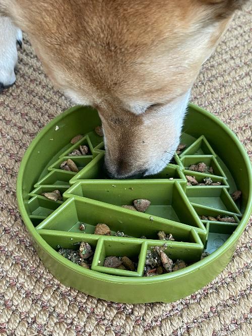 Pine Tree Christmas eBowl Deep Slow Feeder Dog Bowl for Enrichment | USA Made - Doot's Pet LLC Collars For A Cause