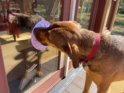 Lotus Design emat - Enrichment Lick Mat For Dogs and Cats - With Suction Cups | USA Made - Doot's Pet LLC Collars For A Cause