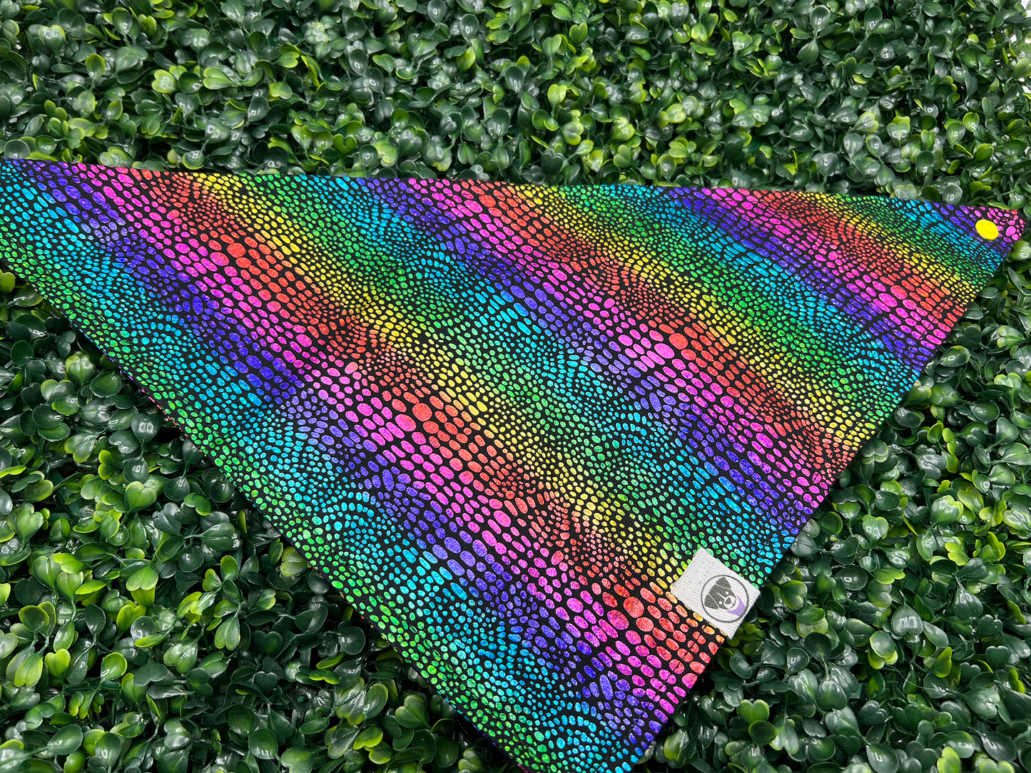 Metallic Rainbow Bandana