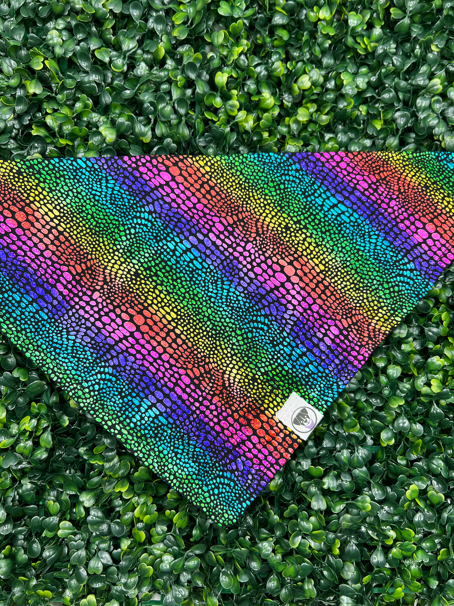 Metallic Rainbow Bandana