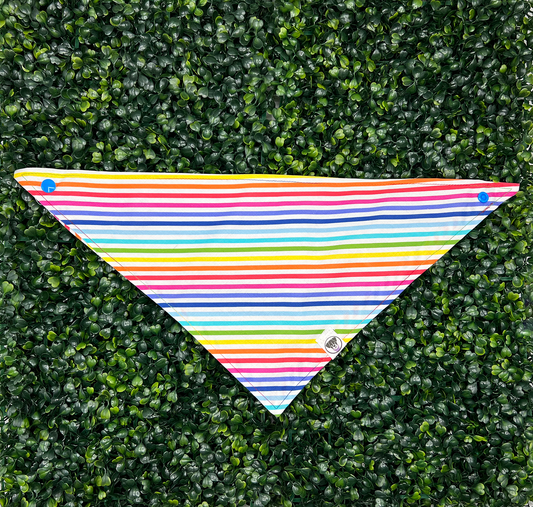 Rainbow Pride Stripe Bandana