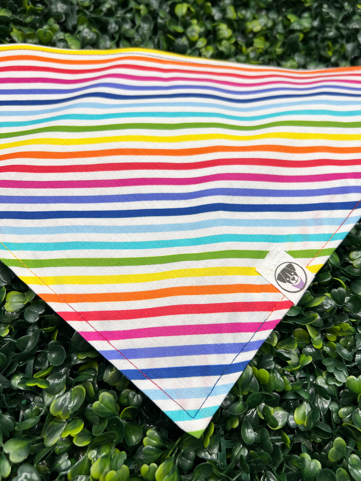 Rainbow Pride Stripe Bandana
