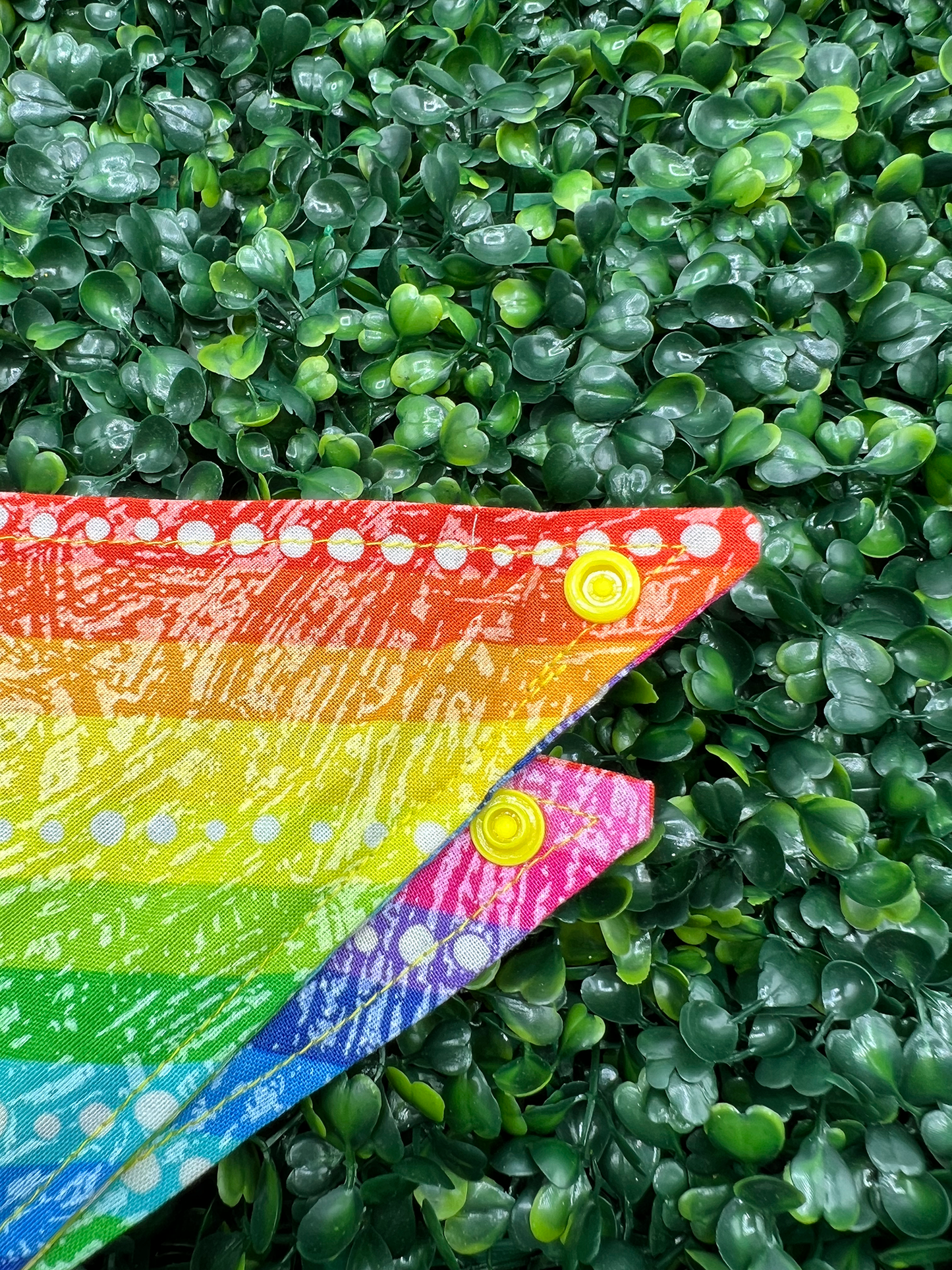 Rainbow Stripes and Dots Bandana