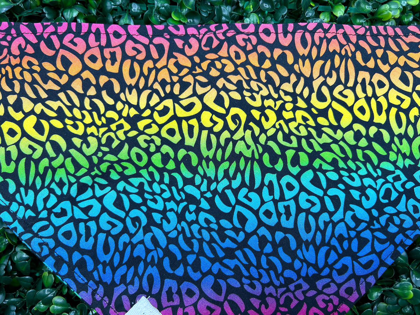 Rainbow Leopard Print Bandana