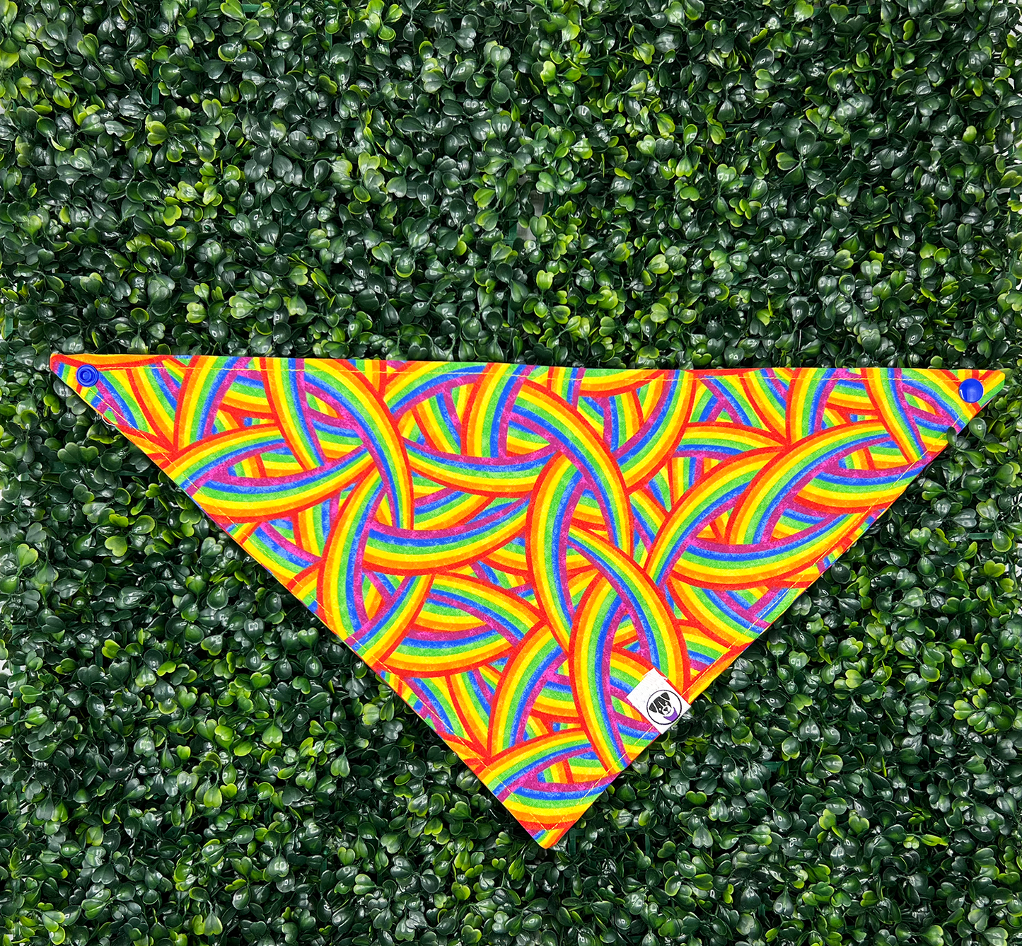 Rainbow All Over Bandana