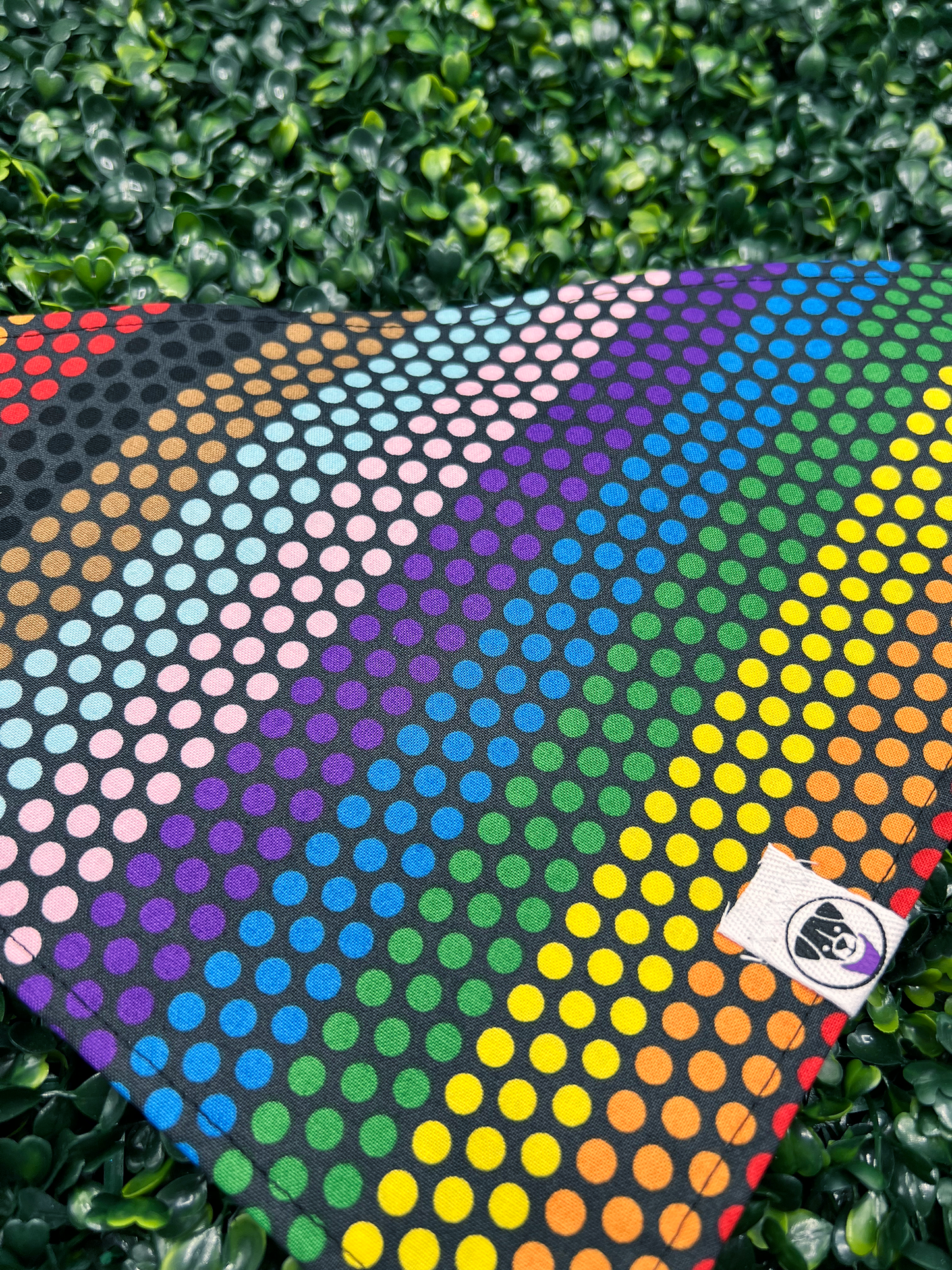 Pride Dots Bandana