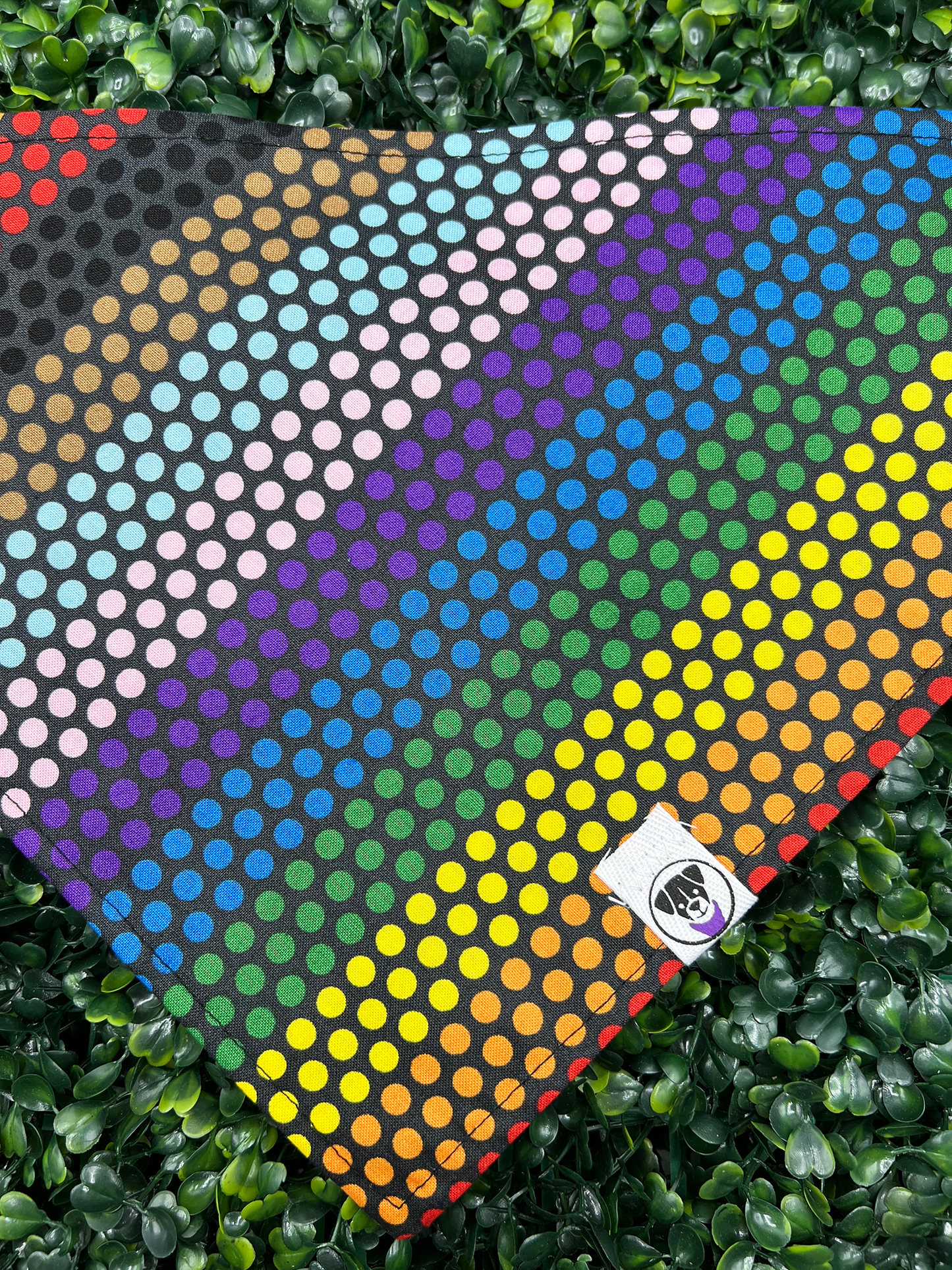 Pride Dots Bandana