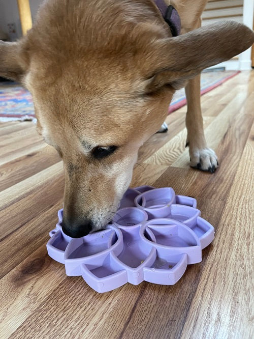 Mandala Softie eTray Shallow Slow Feeder Dog Bowl with Suction Cups |  USA Made - Doot's Pet LLC Collars For A Cause