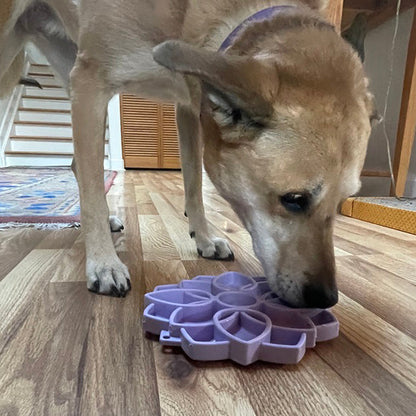 Mandala Softie eTray Shallow Slow Feeder Dog Bowl with Suction Cups |  USA Made - Doot's Pet LLC Collars For A Cause