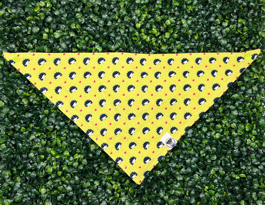 Hedgies and Hearts Bandana