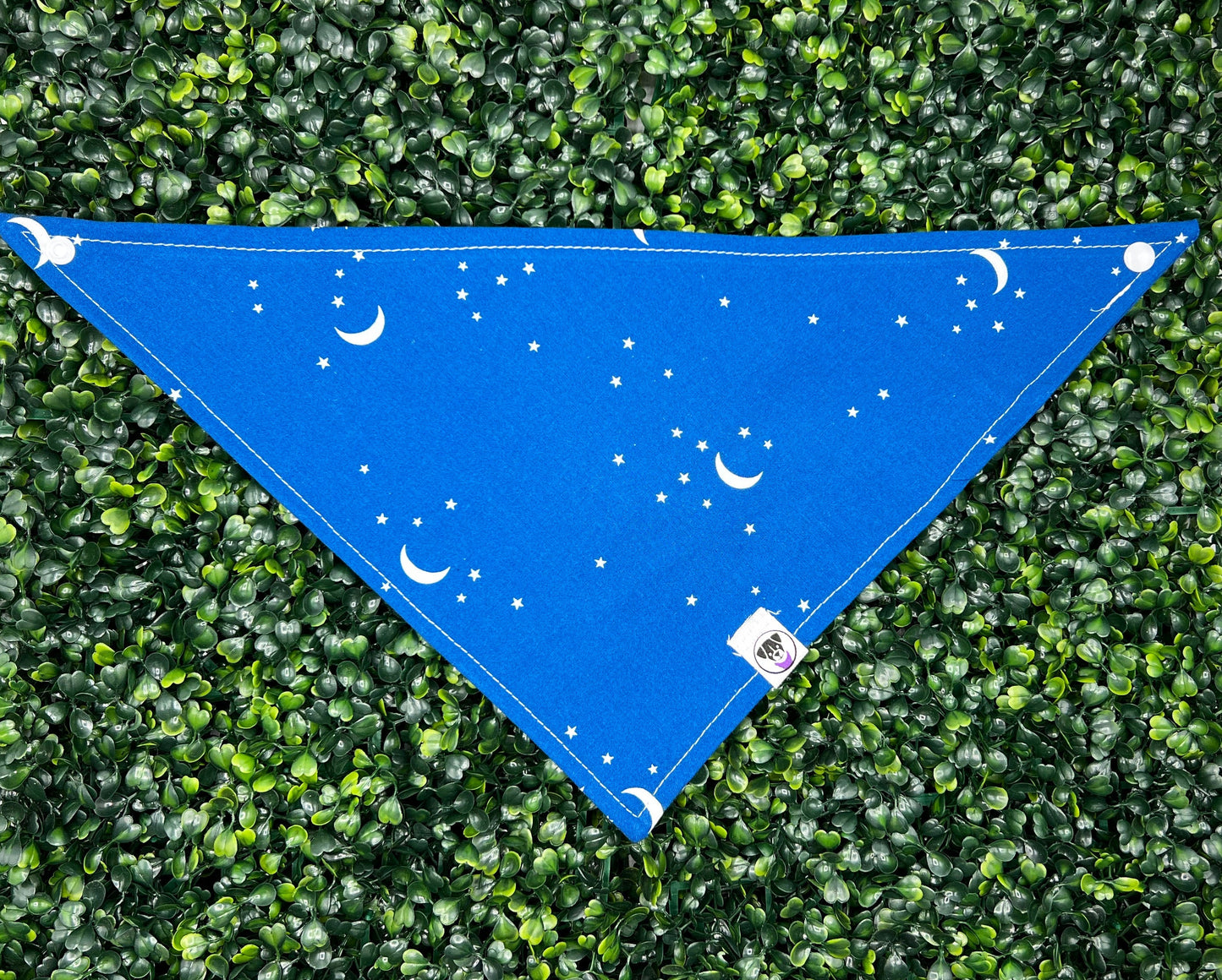 Stargazer Bandana