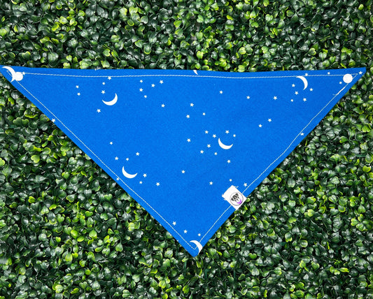 Stargazer Bandana