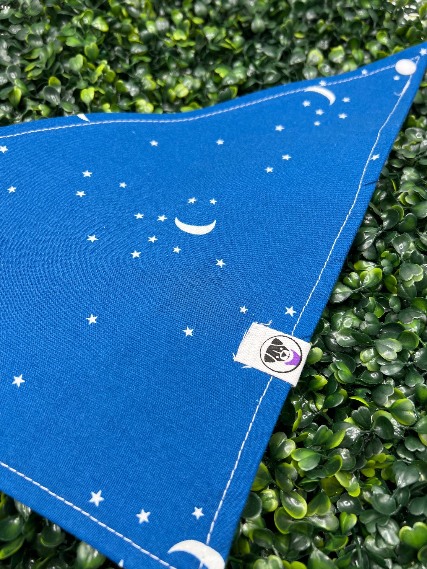 Stargazer Bandana