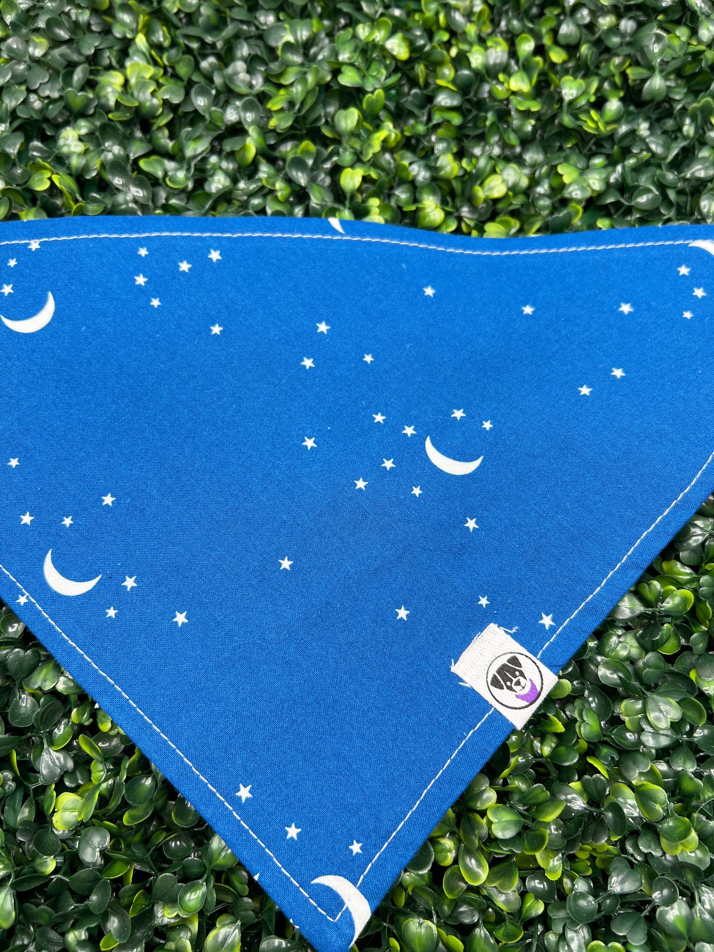 Stargazer Bandana