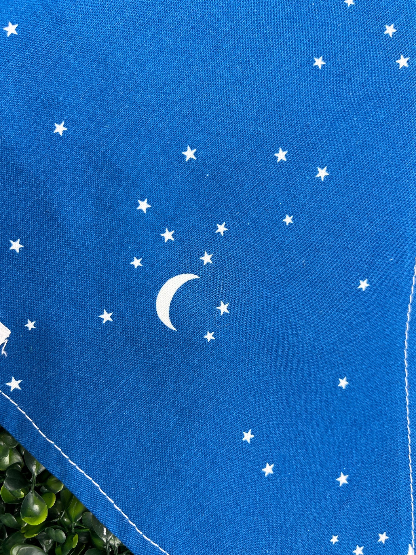 Stargazer Bandana