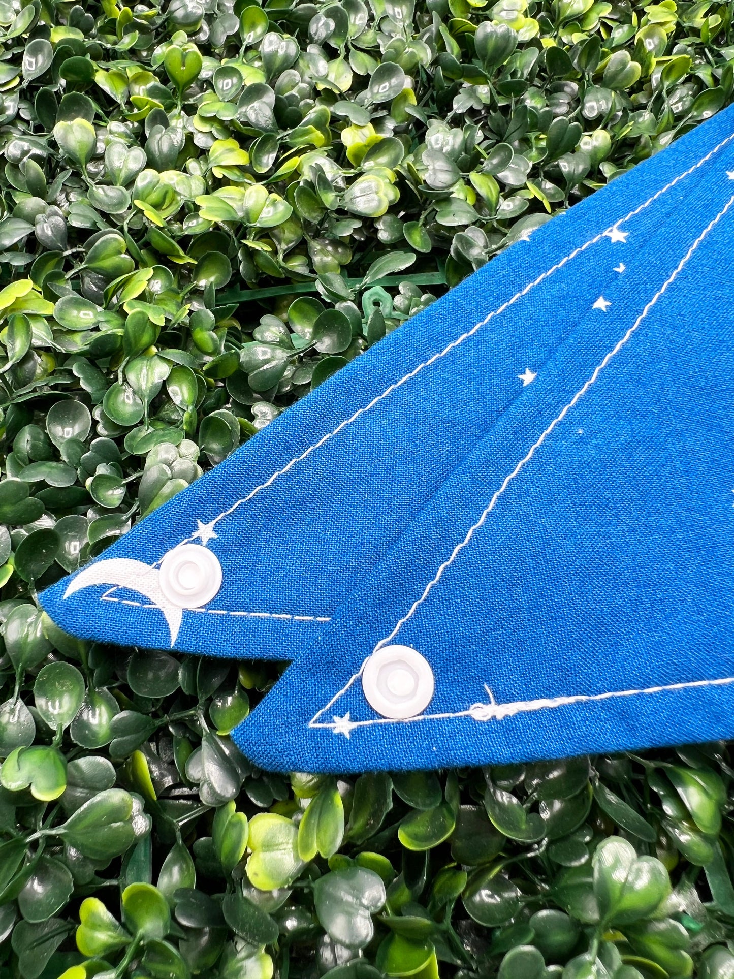 Stargazer Bandana
