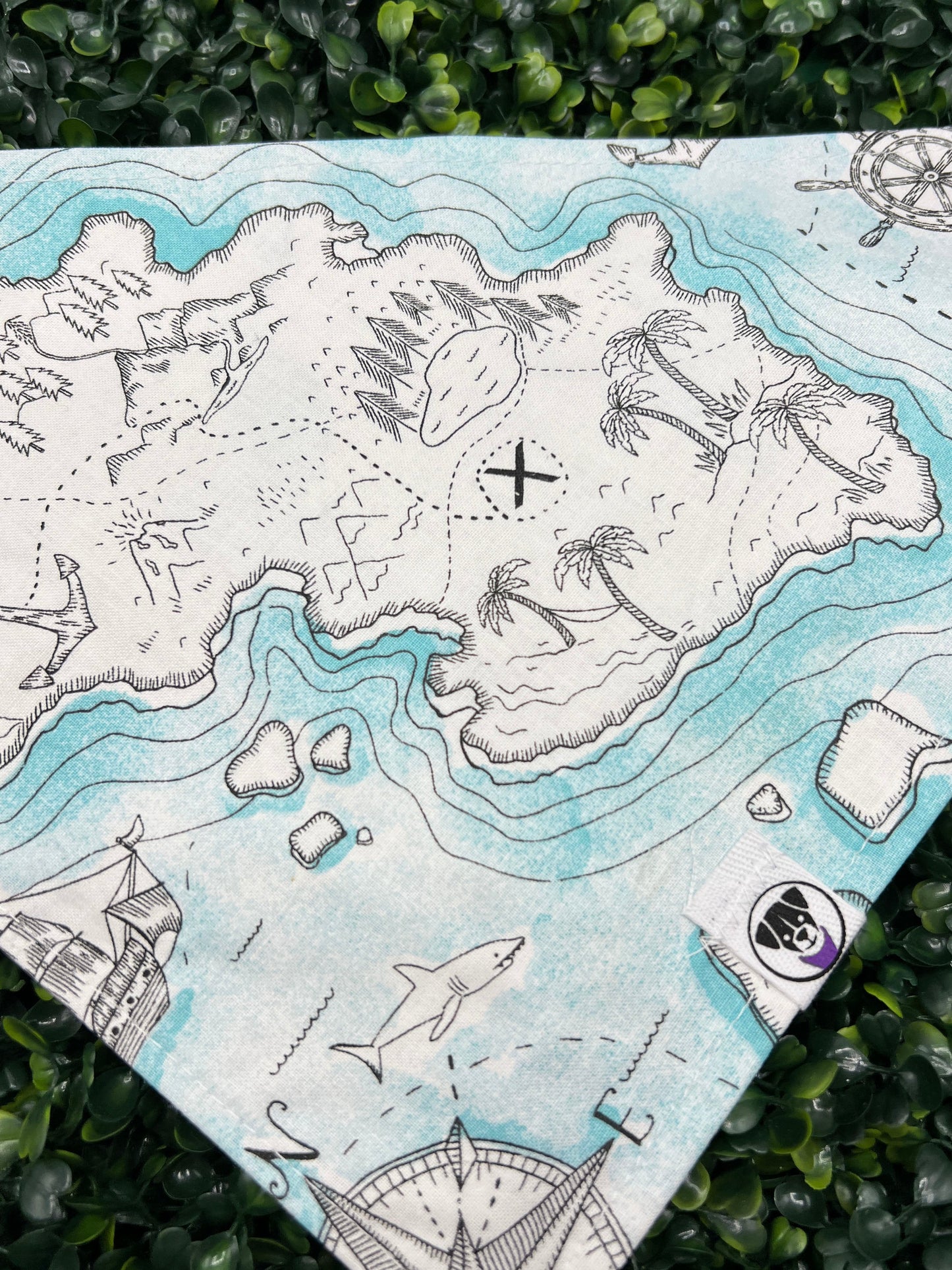 Treasure Map Bandana