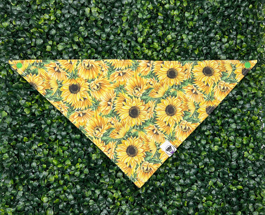 Sunflower Bandana