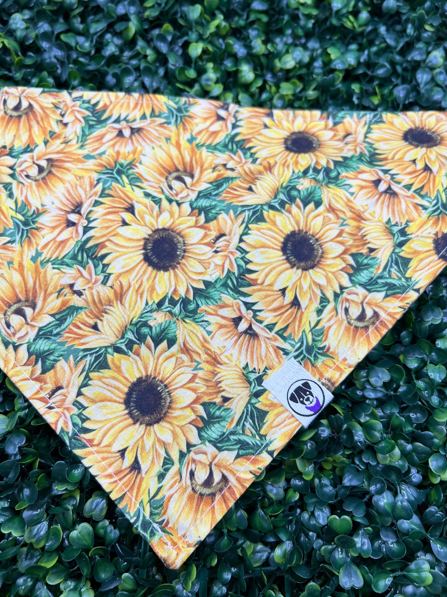 Sunflower Bandana