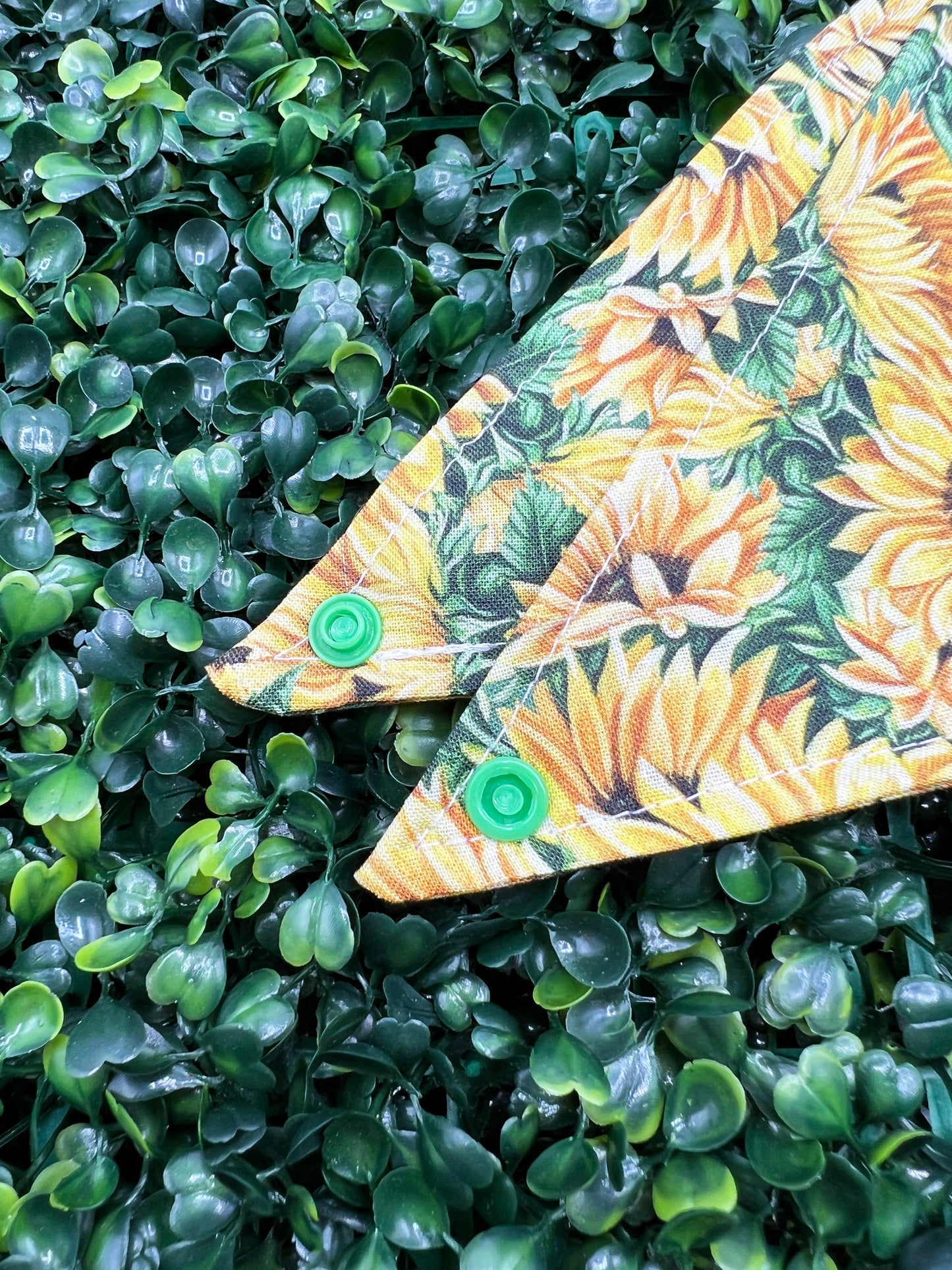 Sunflower Bandana
