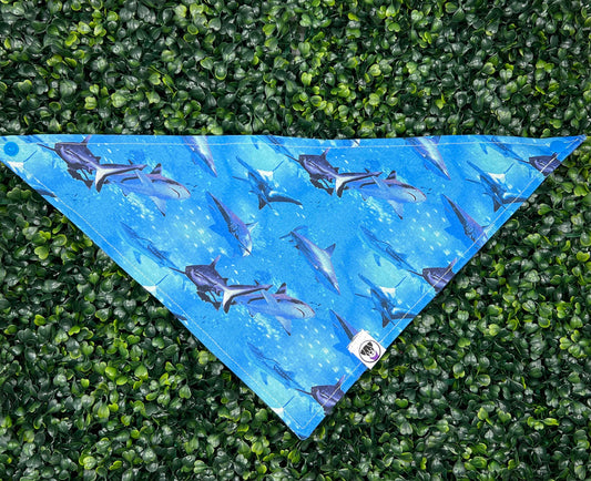 Sharks IRL Bandana