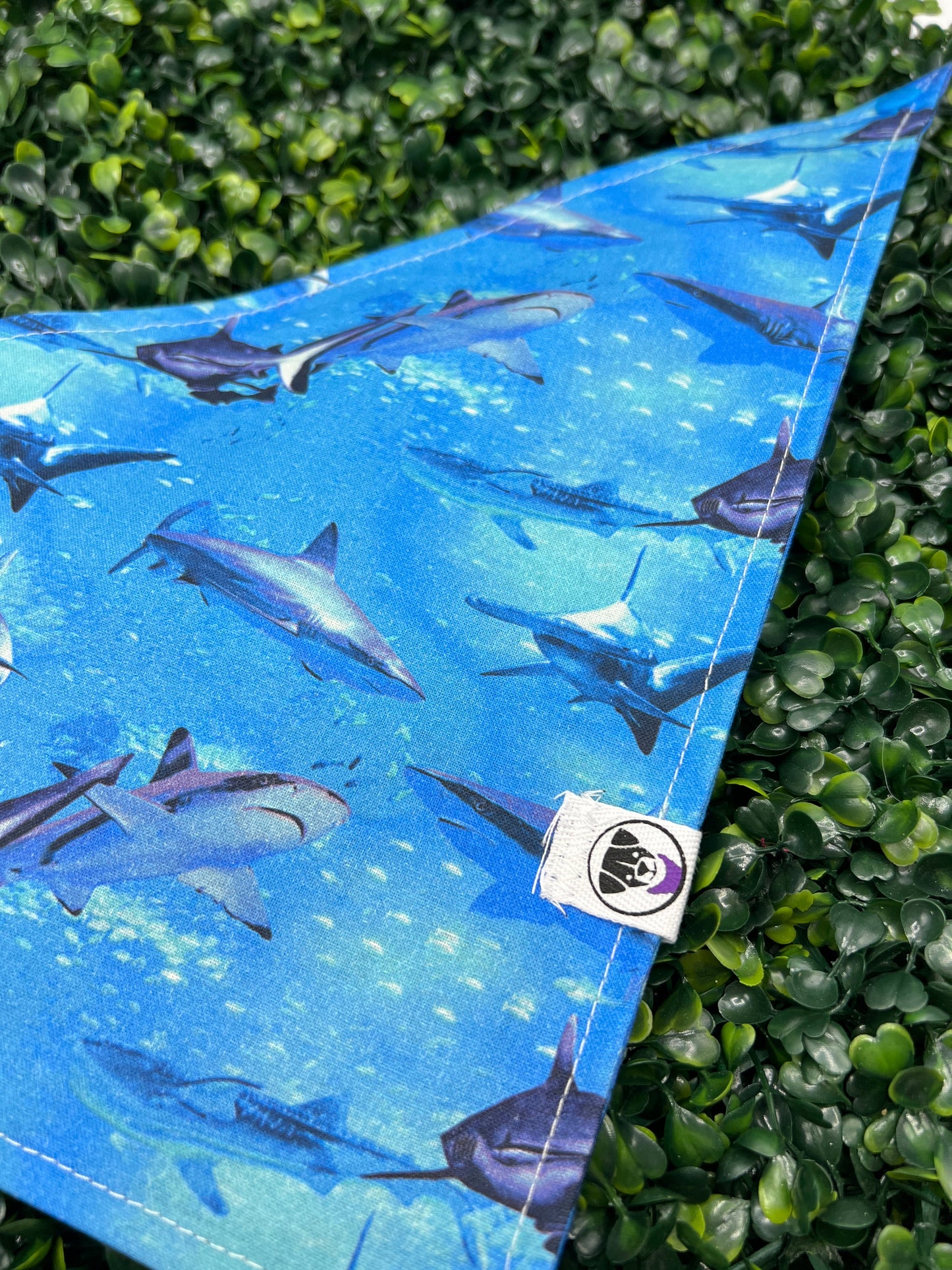 Sharks IRL Bandana