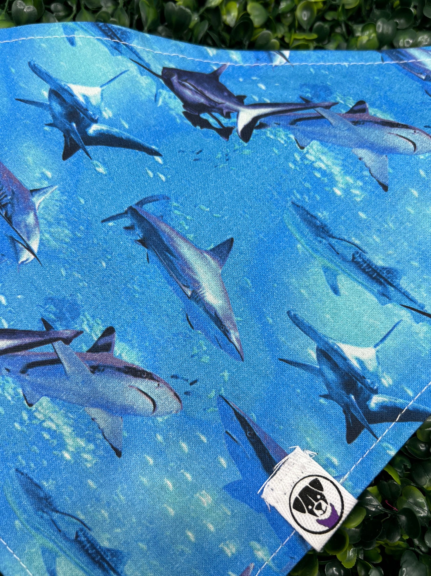 Sharks IRL Bandana