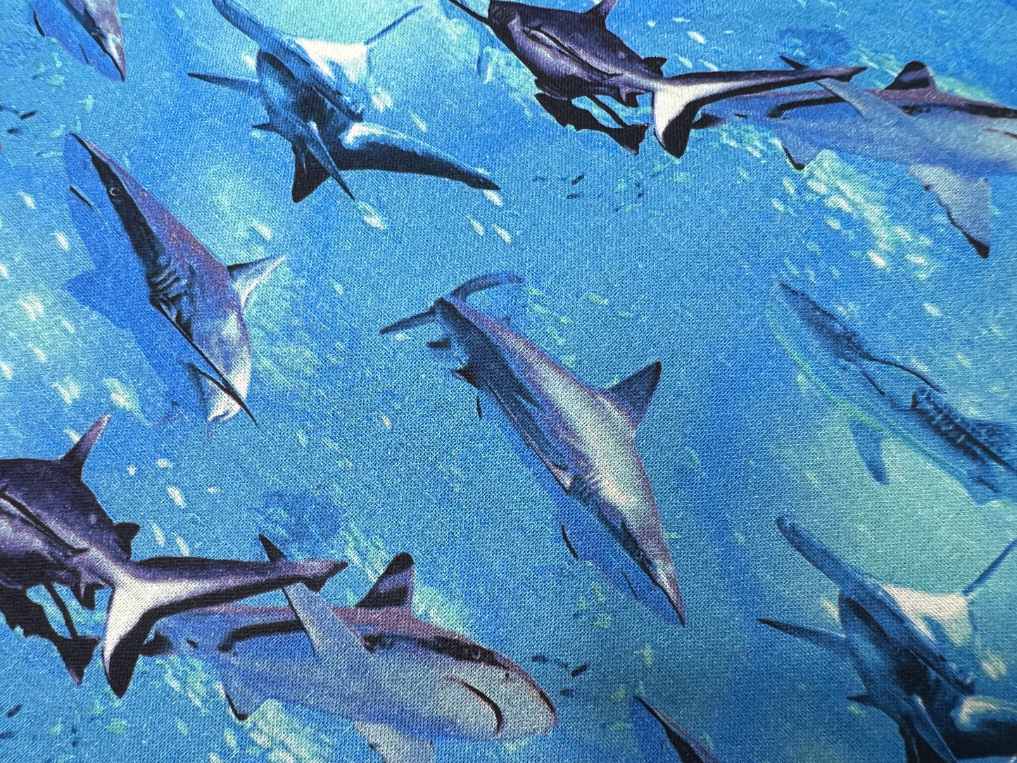 Sharks IRL Bandana