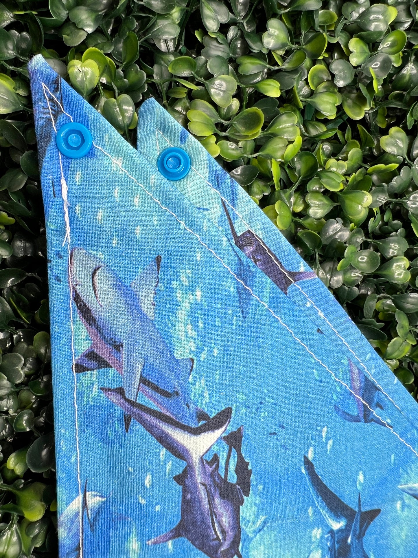 Sharks IRL Bandana