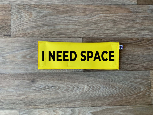 I Need Space Leash Flag