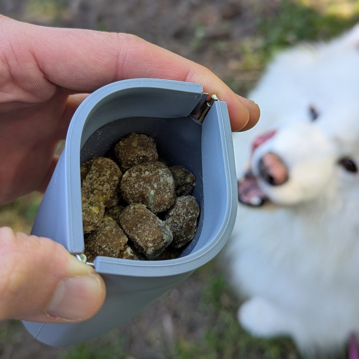 One-Hand Treat Training Pouch - Doot's Pet LLC Collars For A Cause
