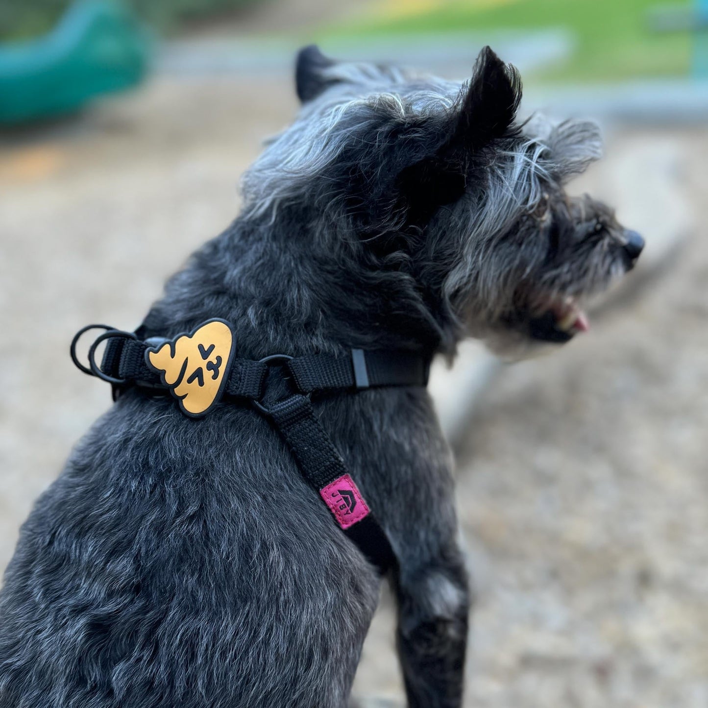 Poop Jiby Dog Charm