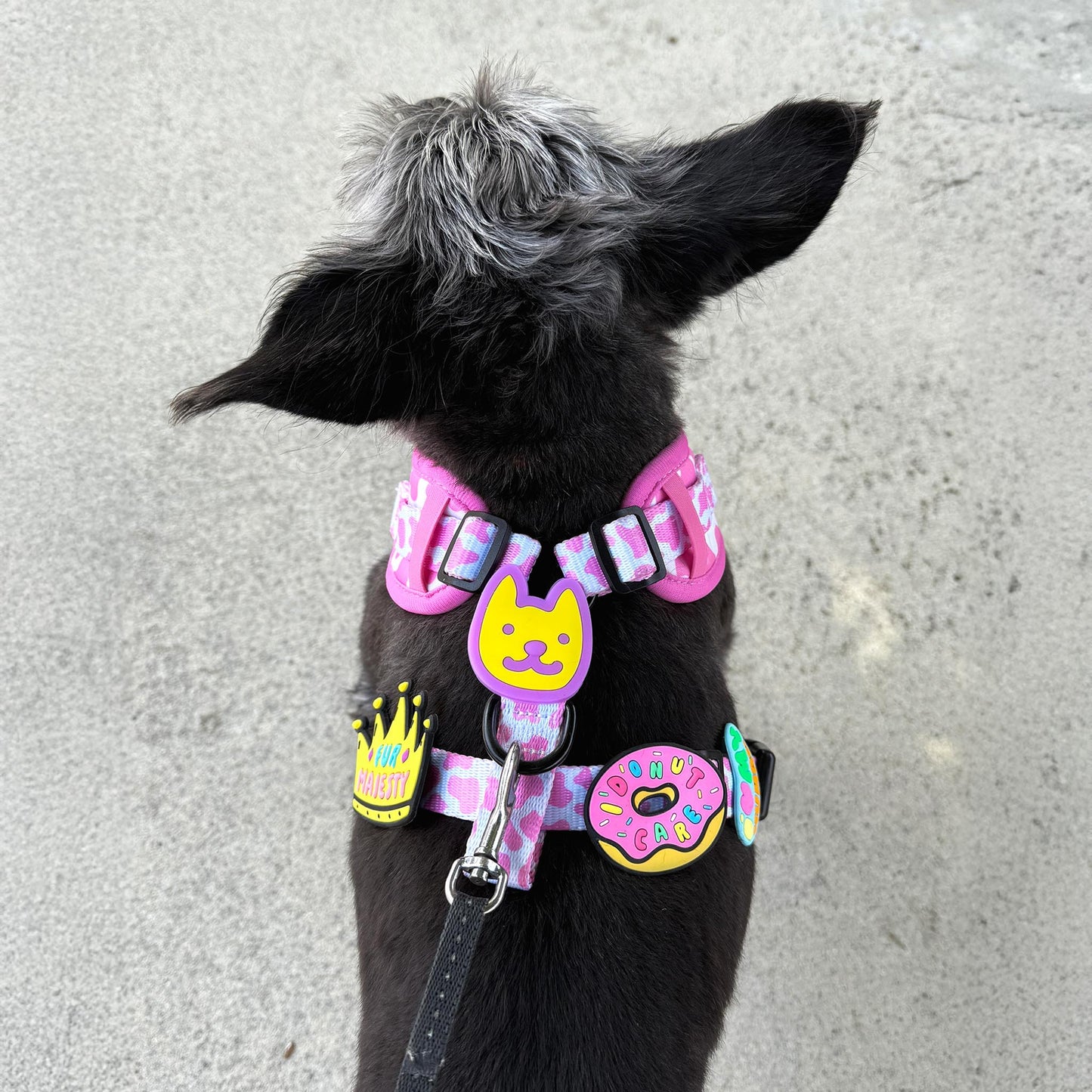 Smiley Dog Jiby Dog Charm