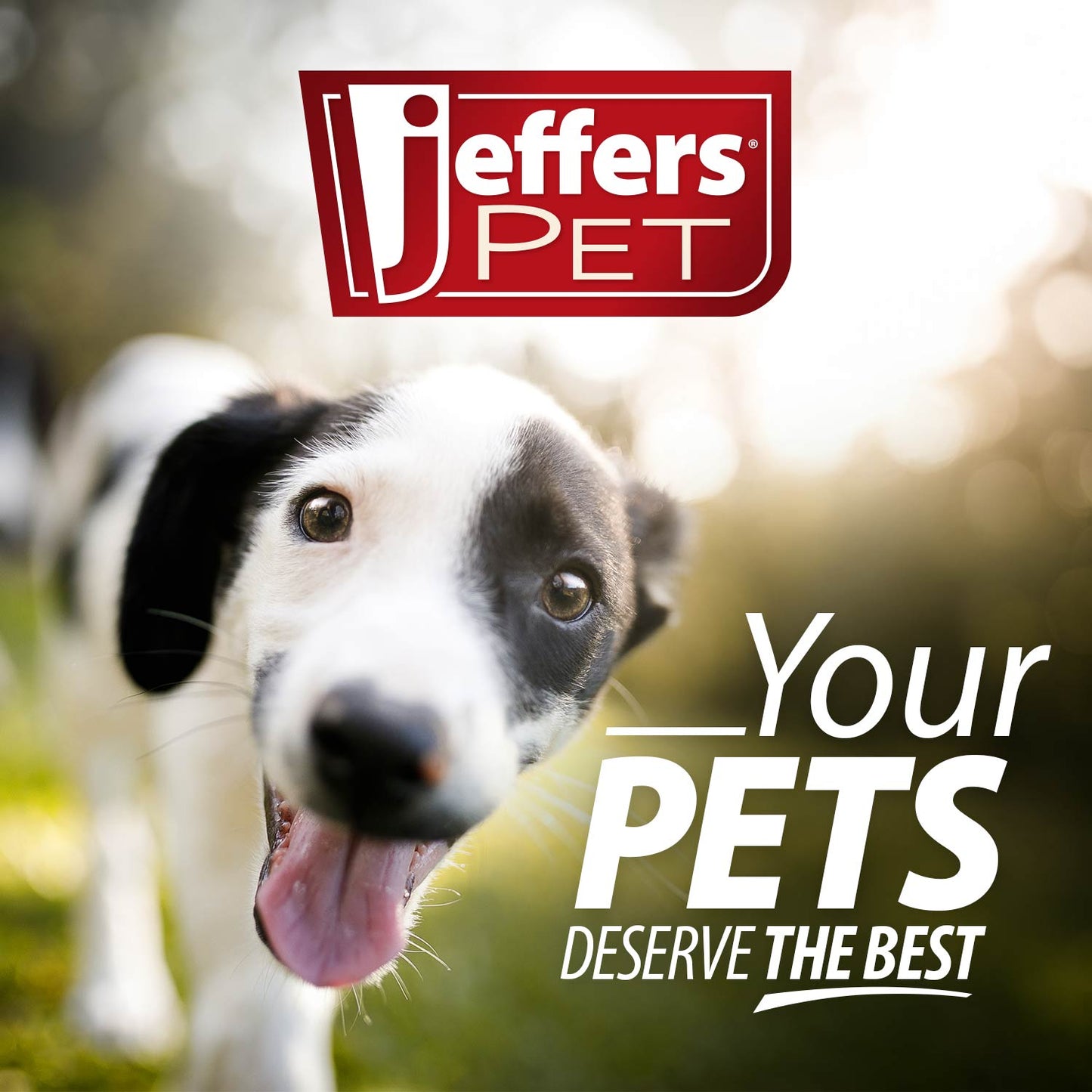 Jeffers Wavy Ring Tugger Natural Rubber Dog Chew Toy for Tug, Fetch & Dental Support